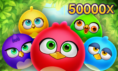 Birds Party