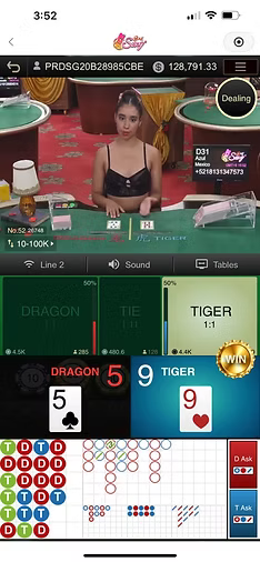 Sexy Dragon Tiger