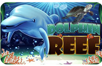 Dolphin Reef