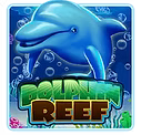 DOLPHIN REEF