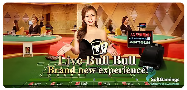 Live Bull Bull