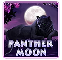 PANTHER MOON