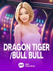 DRAGON tiger/bull bull