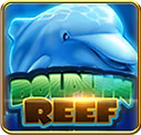 Dolphin Reef